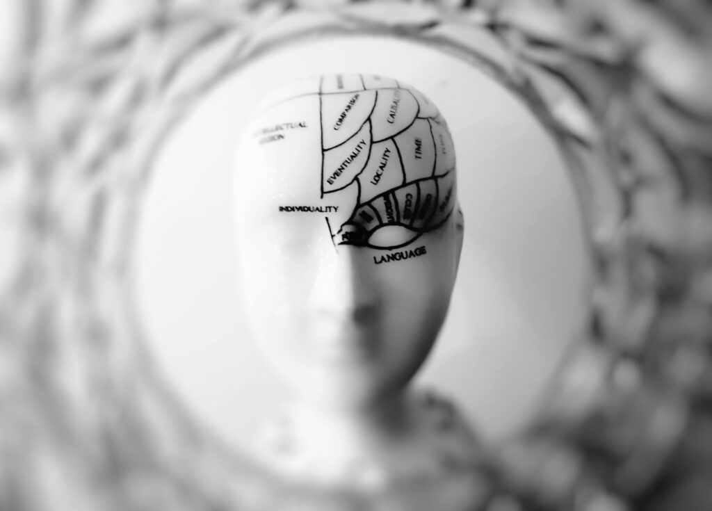 202505-左右腦人特質-左右腦掌管-brain