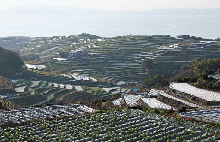 日本旅行旅遊景點-自由行自助旅行-梯田-馬丘比丘