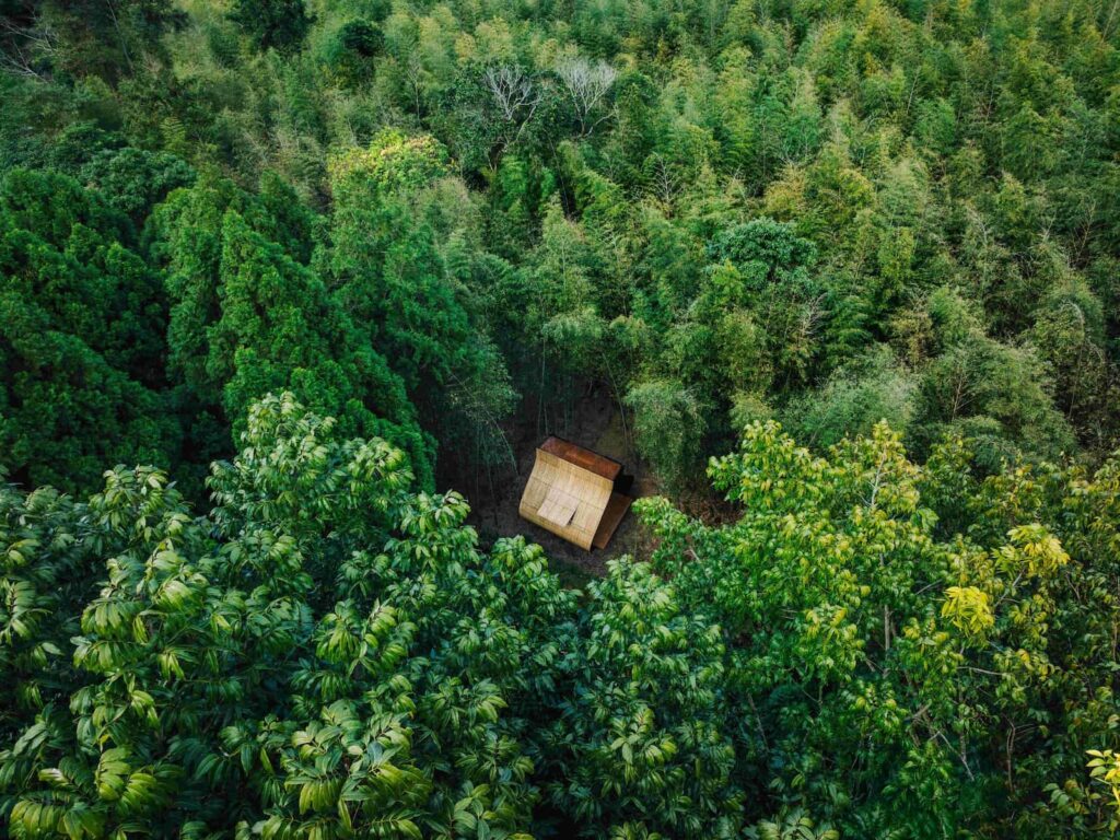 南投鹿谷的孟宗竹林間，有台灣藝術家范承宗的「小竹屋計劃：粽子」建築設計的空拍圖。
